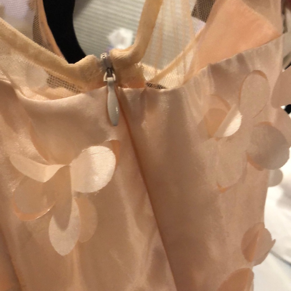 Asos 3d Laser Cut Flowers Dress View 6